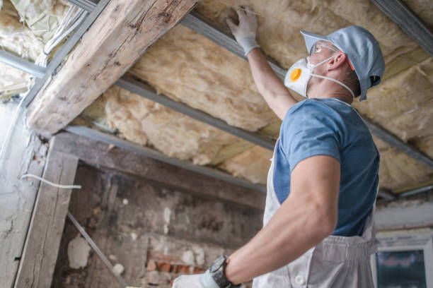 Best Blown-in Insulation  in Zanesville, OH